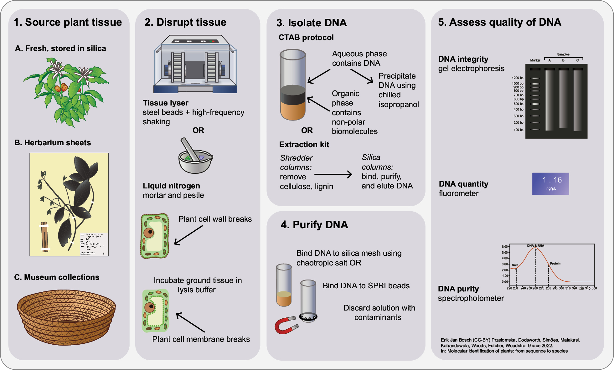 image from 泥土中的算法：Es Devlin 用 1.6 亿年前的粘土，为 AI 寻找丢失的灵魂